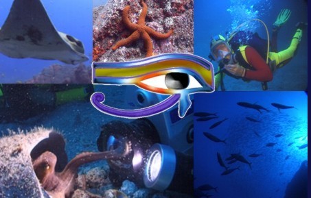 Ocean-Eye underwater camera crew and videography services